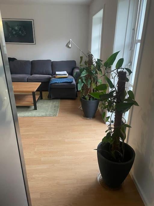 2 Bedroom Apartment Near The Sea Tisvildeleje Esterno foto